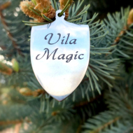 Vila Magic Agapia