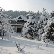 Pensiunea Casa dintre Pini Agapia